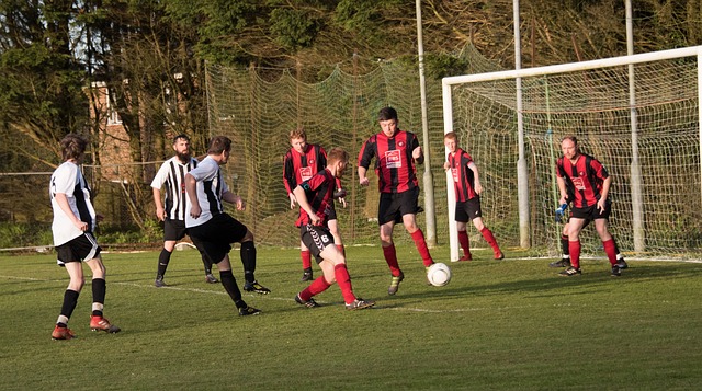 园球场的一 园球场的一