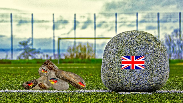 东契奇的告 东契奇的告