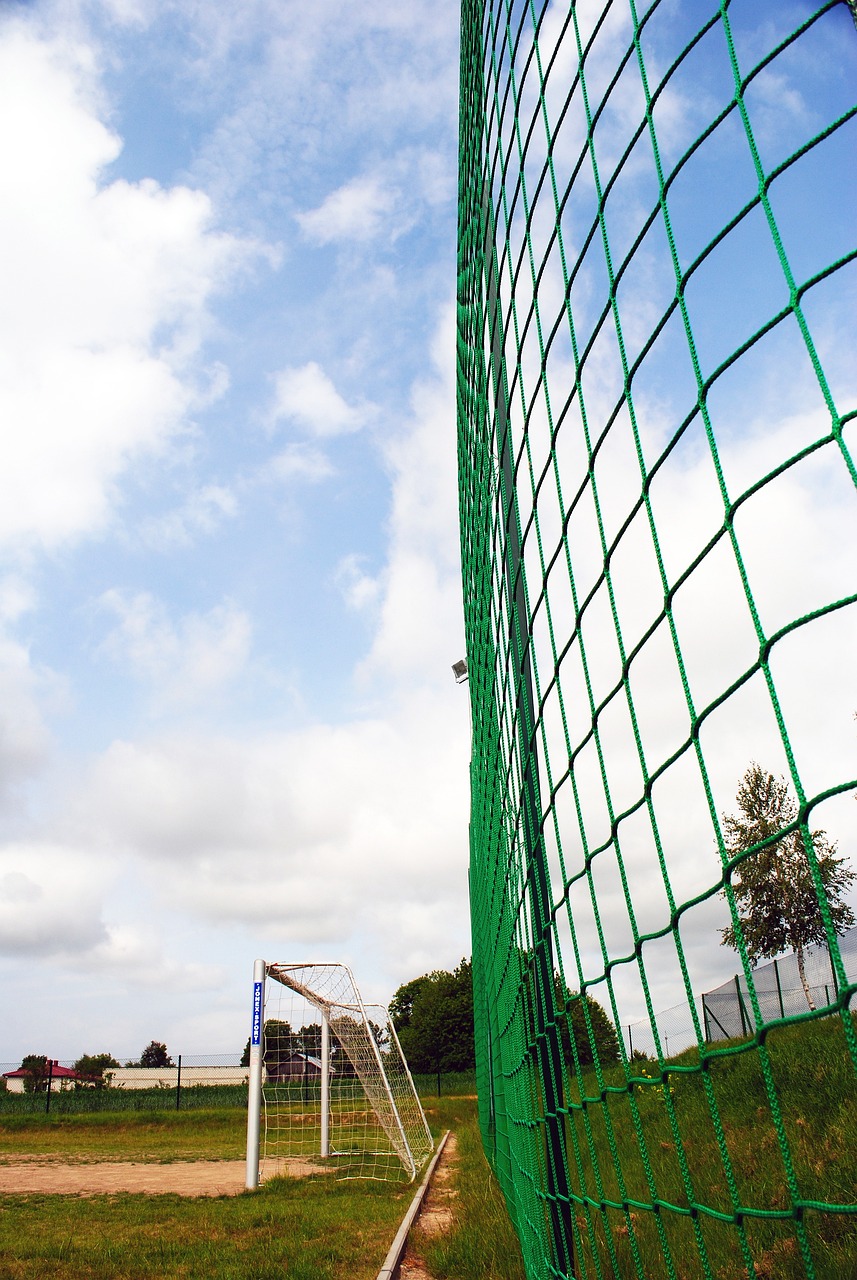 表现令人惋 表现令人惋