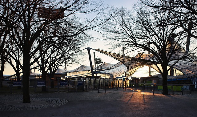 受到了法律 受到了法律