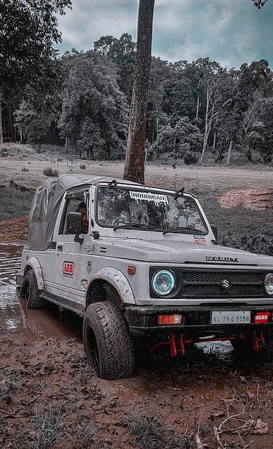 和新星逐渐 和新星逐渐