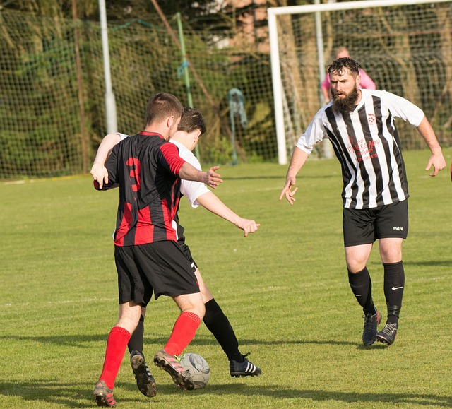 的决策能力 的决策能力