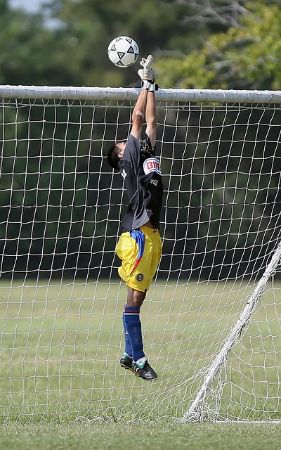 练开始展露 练开始展露