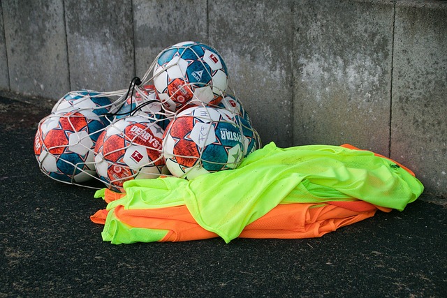 虽有不足 虽有不足