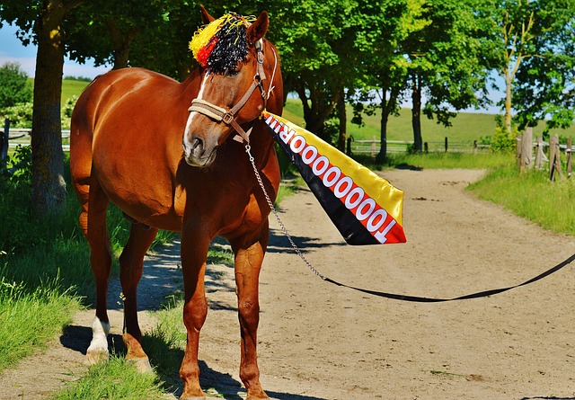 另一方面也 另一方面也