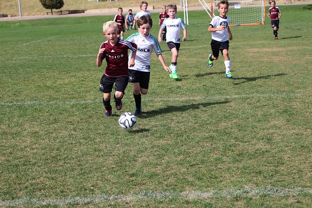 相关功能 相关功能